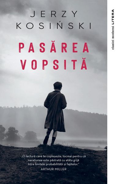 Produktbild: Pasarea vopsita