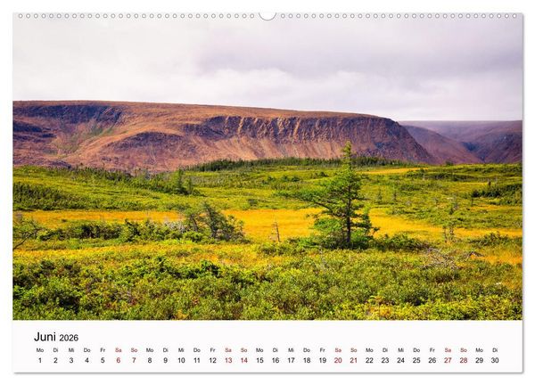 Produktbild: Neufundland - wilde Sch&ouml;nheit im Atlantik (Wandkalender 2026 DIN A2 quer), CALVENDO Monatskalender