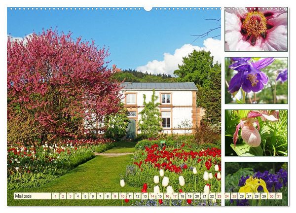 Produktbild: Im Hermannshof - Ein Traumgarten in Weinheim (hochwertiger Premium Wandkalender 2026 DIN A2 quer), Kunstdruck in Hochglanz