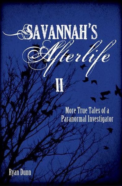 Produktbild: Savannah's Afterlife II
