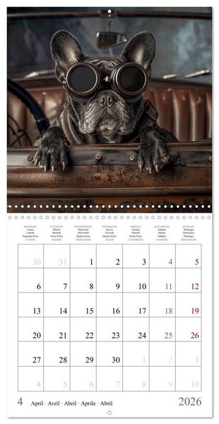 Produktbild: French Bulldogs (Wall Calendar 2026 12 &times; 12 Inch) CALVENDO 12 Month Wall Calendar