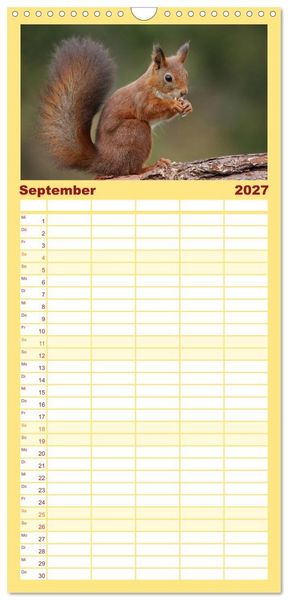 Produktbild: Familienplaner 2027 - Eichh&ouml;rnchen in zauberhaften Posen mit 5 Spalten (Wandkalender, 21 x 45 cm) CALVENDO