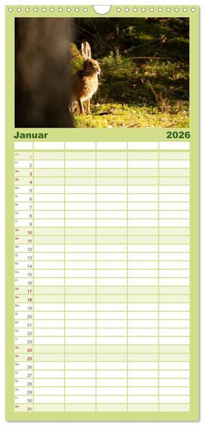 Produktbild: Familienplaner 2026 - Feldhasen unterwegs in Wald und Flur mit 5 Spalten (Wandkalender, 21 x 45 cm) CALVENDO