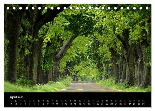 Produktbild: Traumhafte Ostseek&uuml;ste (Tischkalender 2026 DIN A5 quer), CALVENDO Monatskalender