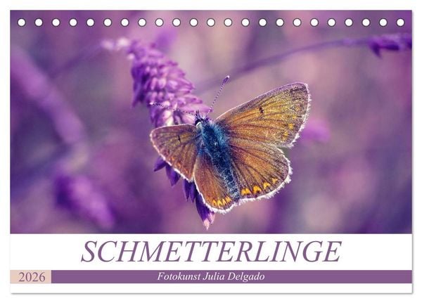 Produktbild: Schmetterlinge im Fokus (Tischkalender 2026 DIN A5 quer), CALVENDO Monatskalender
