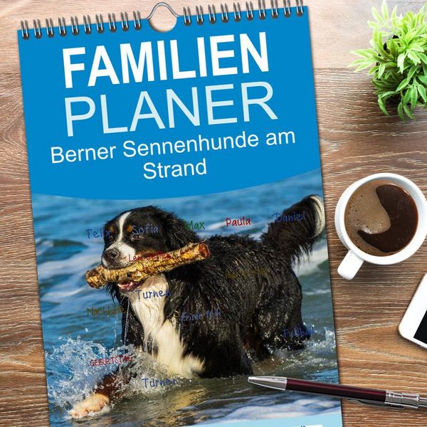 Produktbild: Familienplaner 2026 - Berner Sennenhunde am Strand mit 5 Spalten (Wandkalender, 21 x 45 cm) CALVENDO