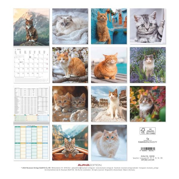 Produktbild: Katzen 2026 - Broschürenkalender 30x30 cm (30x60 geöffnet) - Kalender mit Platz für Notizen - Cats - Bildkalender - Wandplaner - Katzenkalender