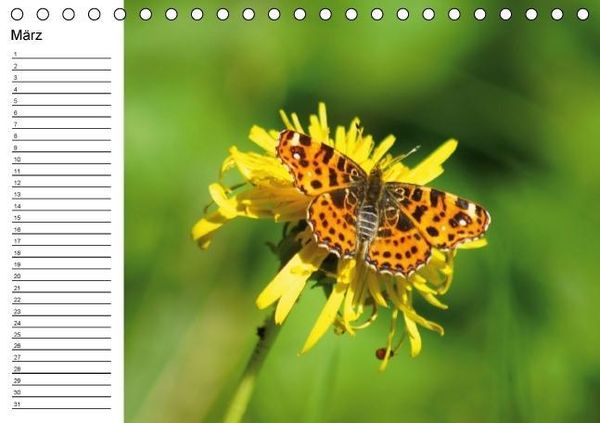 Produktbild: Heimische Schmetterlinge / Geburtstagskalender (Tischkalender immerw&auml;hrend DIN A5 quer)