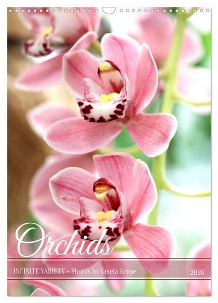Produktbild: Orchids - Infinite Variety (Wall Calendar 2026 DIN A3 portrait), CALVENDO 12 Month Wall Calendar