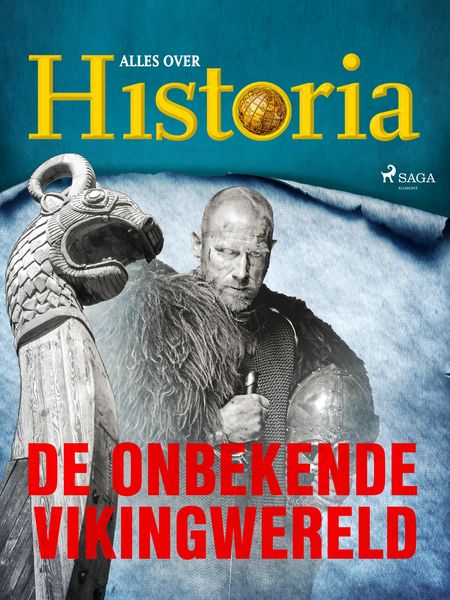 Produktbild: De onbekende Vikingwereld