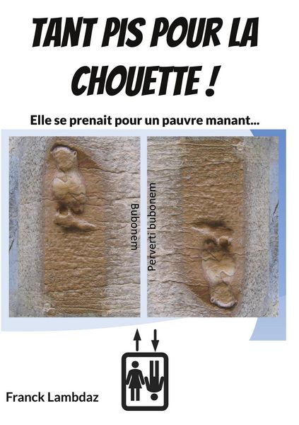 Produktbild: Tant pis pour la chouette !