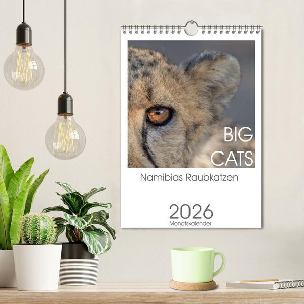 Produktbild: BIG CATS - Namibias Raubkatzen (Wandkalender 2026 DIN A4 hoch), CALVENDO Monatskalender