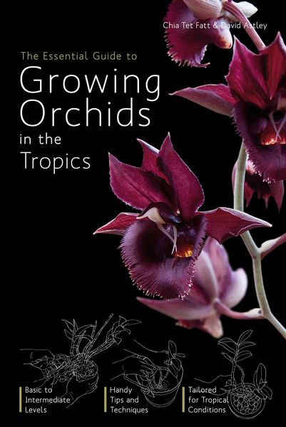 Produktbild: Essential Guide to Growing Orchids