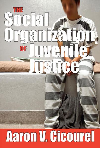 Produktbild: The Social Organization of Juvenile Justice