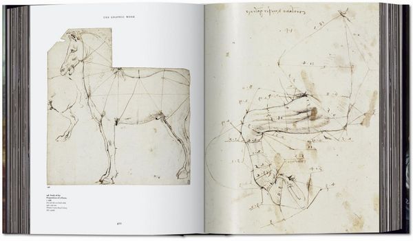 Produktbild: Leonardo. Obra pict&oacute;rica completa y obra gr&aacute;fica