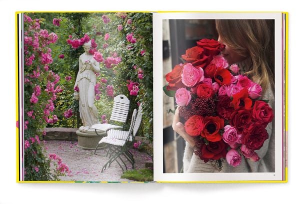 Produktbild: Floramour: Roses / Rosen