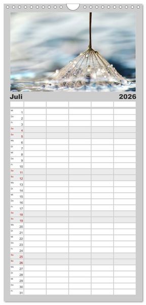Produktbild: Familienplaner 2026 - Naturjuwel Pusteblume mit 5 Spalten (Wandkalender, 21 x 45 cm) CALVENDO