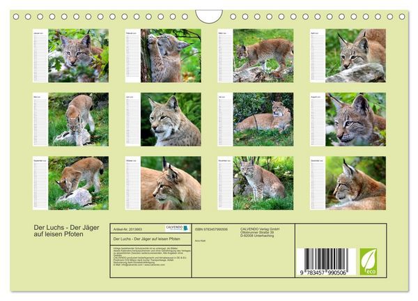 Produktbild: Der Luchs - Der J&auml;ger auf leisen Pfoten (Wandkalender 2026 DIN A4 quer), CALVENDO Monatskalender