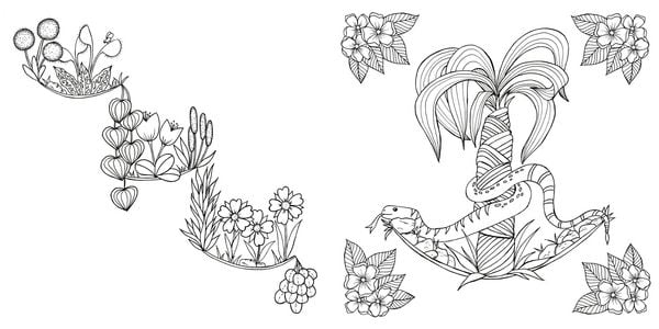 Produktbild: Tropical Flowers &ndash; Exotische Blumen- und Pflanzen-Motive ausmalen