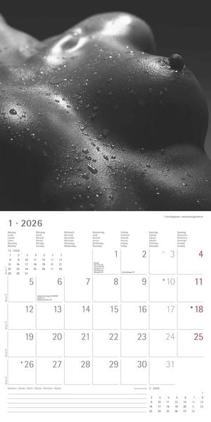 Produktbild: Feminine 2026 - Broschürenkalender 30x30 cm (30x60 geöffnet) - Kalender mit Platz für Notizen - Feminin - Bildkalender - Wandplaner - Erotikkalender
