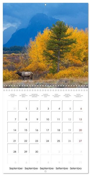 Produktbild: Teton National Park (Wall Calendar 2026 12 &times; 12 Inch) CALVENDO 12 Month Wall Calendar