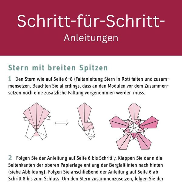 Produktbild: Zarte Origamisterne (kreativ.kompakt.)