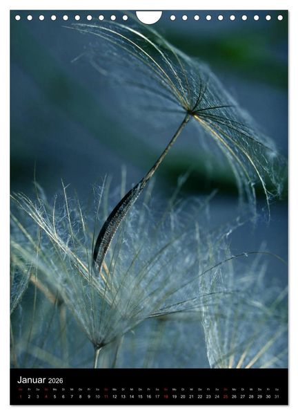 Produktbild: Kunst in der Natur (Wandkalender 2026 DIN A4 hoch), CALVENDO Monatskalender