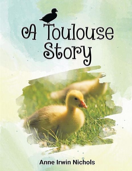 Produktbild: A Toulouse Story