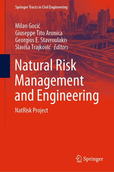 Produktbild: Natural Risk Management and Engineering