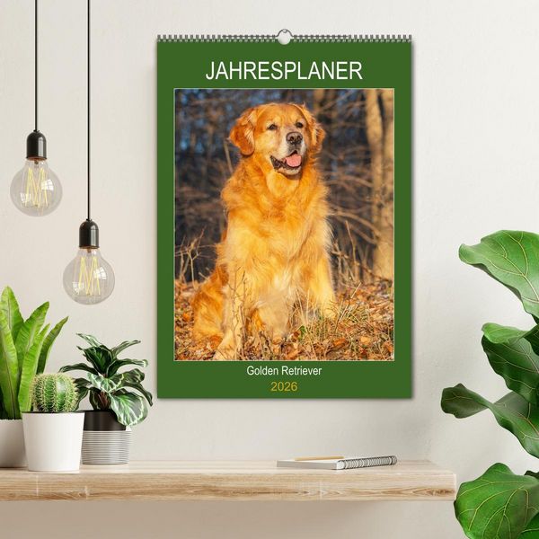 Produktbild: Jahresplaner Golden Retriever (Wandkalender 2026 DIN A2 hoch), CALVENDO Monatskalender