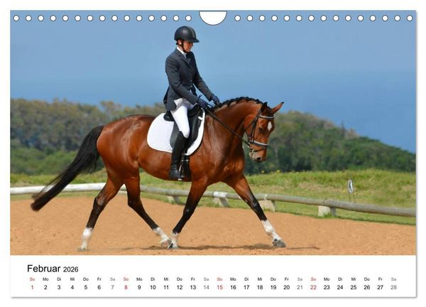 Produktbild: Eventing - Der ultimative Reitsport (Wandkalender 2026 DIN A4 quer), CALVENDO Monatskalender