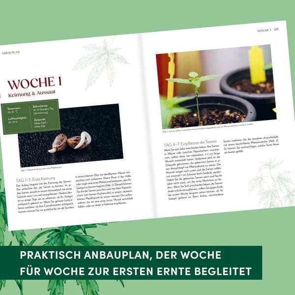 Produktbild: Cannabis-Anbau f&uuml;r Anf&auml;nger