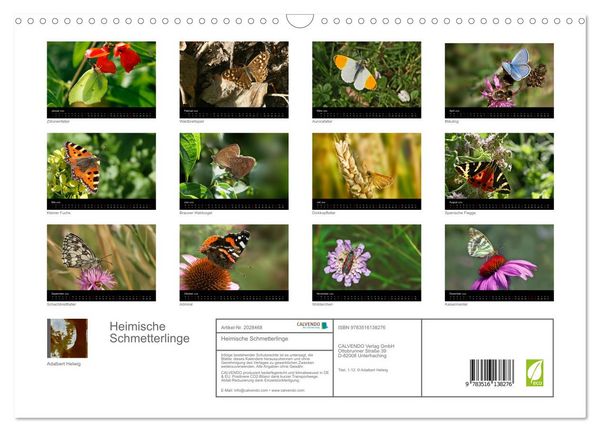 Produktbild: Heimische Schmetterlinge (Wandkalender 2026 DIN A3 quer), CALVENDO Monatskalender