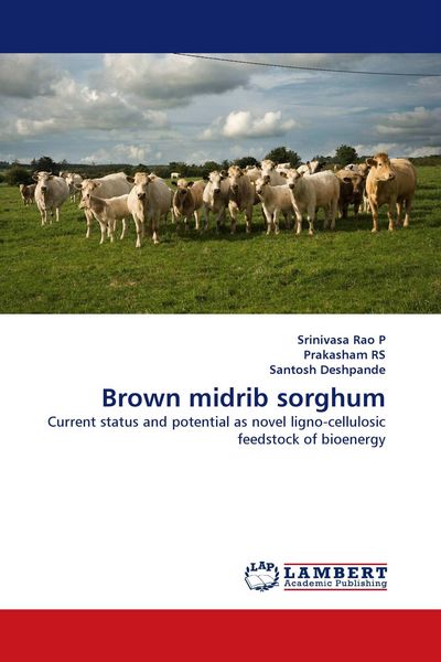 Produktbild: Brown midrib sorghum