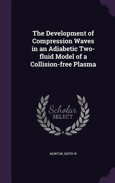 Produktbild: The Development of Compression Waves in an Adiabetic Two-fluid Model of a Collision-free Plasma