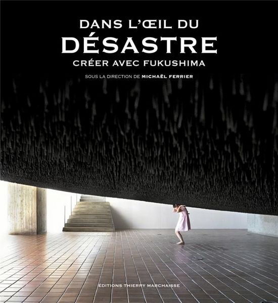 Produktbild: Dans oeil du desastre creer ave