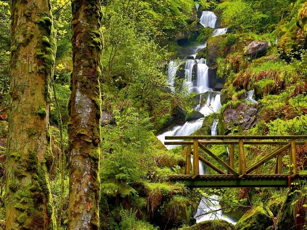 Produktbild: CALVENDO Puzzle Der Gertelbach | 1000 Teile Lege-Gr&ouml;&szlig;e 64x48cm Foto-Puzzle f&uuml;r gl&uuml;ckliche Stunden
