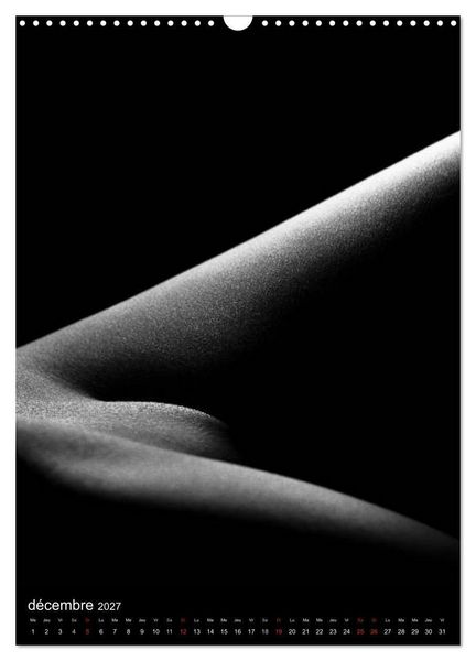Produktbild: F&eacute;minit&eacute; (Calendrier mural 2027 DIN A3 horizontal), CALVENDO calendrier mensuel