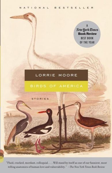 Produktbild: Birds of America
