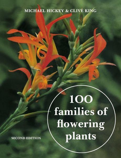 Produktbild: 100 Families of Flowering Plants