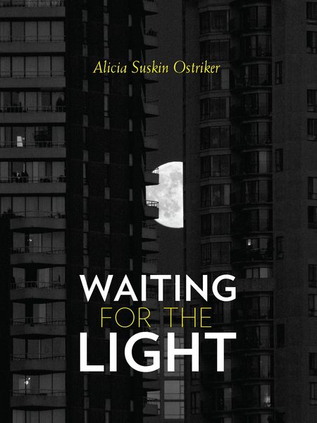 Produktbild: Waiting for the Light