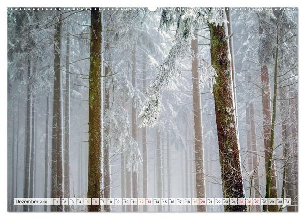 Produktbild: Wald - mystische Spazierg&auml;nge (Wandkalender 2026 DIN A2 quer), CALVENDO Monatskalender