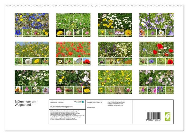 Produktbild: Bl&uuml;tenmeer am Wegesrand (hochwertiger Premium Wandkalender 2026 DIN A2 quer), Kunstdruck in Hochglanz