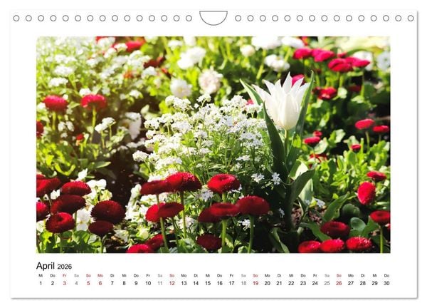Produktbild: Mein Sehnsuchtsort, der Garten (Wandkalender 2026 DIN A4 quer), CALVENDO Monatskalender