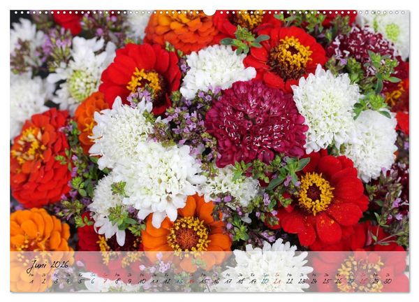 Produktbild: Bl&uuml;ten dicht an dicht (hochwertiger Premium Wandkalender 2026 DIN A2 quer), Kunstdruck in Hochglanz