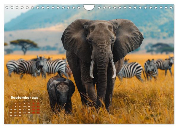 Produktbild: Liebenswerte Elefanten (Wandkalender 2026 DIN A4 quer), CALVENDO Monatskalender