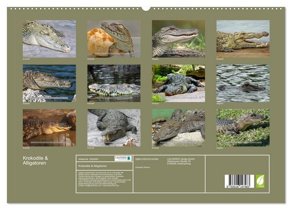 Produktbild: Krokodile & Alligatoren (hochwertiger Premium Wandkalender 2026 DIN A2 quer), Kunstdruck in Hochglanz