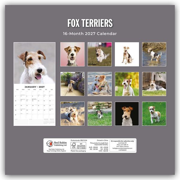Produktbild: Fox Terriers &ndash; Foxterrier 2027 &ndash; 16-Monatskalender