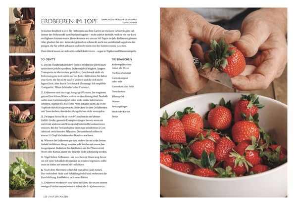 Produktbild: Das Gartenbuch