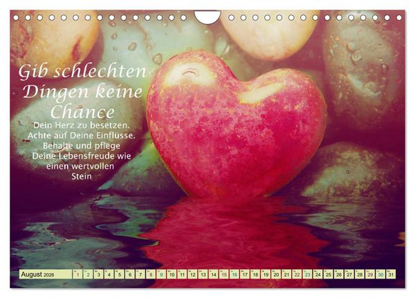Produktbild: Spruchkalender - schau rein (Wandkalender 2026 DIN A4 quer), CALVENDO Monatskalender
